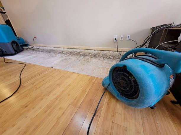 Professional Ceiling Water Damage Repair technician working in Menasha, WI